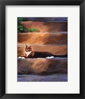 Framed Trouble Cat