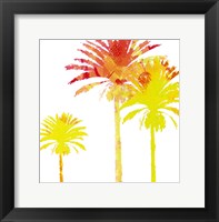 Framed Sunny Palm I