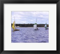 Water Racing III Framed Print