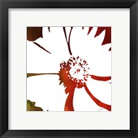 Peace Flowers III Framed Print