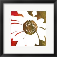 Peace Flowers IV Framed Print