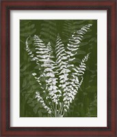 Framed 'Jewel Ferns I' border=