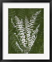 Framed Jewel Ferns I