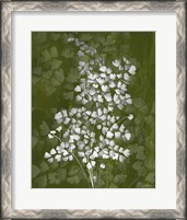 Framed 'Jewel Ferns III' border=