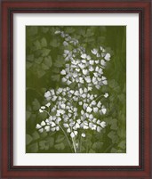 Framed 'Jewel Ferns III' border=