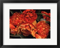 Framed Old World Tulips I