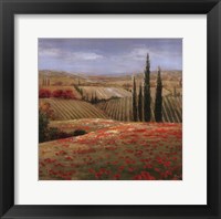 Framed Tuscan Cypress II