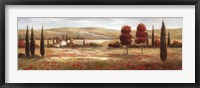 Framed Tuscan Poppies II