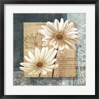 Framed Daisy Field I