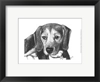 Framed Lindy the Beagle