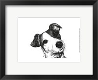 Framed Robbie the Jack Russell