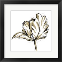 Framed Small Tulip Sketch III