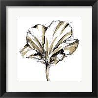 Framed Small Tulip Sketch IV