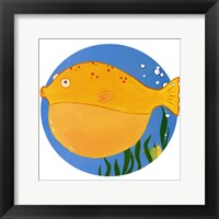 Framed Billy the Blowfish