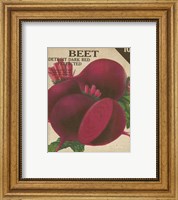 Framed 'Heirloom Variety III' border=