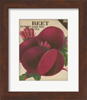 Framed 'Heirloom Variety III' border=