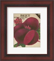 Framed 'Heirloom Variety III' border=