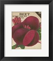 Heirloom Variety III Framed Print