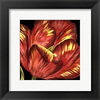 Framed Mini Transitional Tulip I