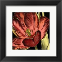 Framed Mini Transitional Tulip III