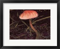 Framed Forest Floor II