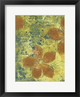 Euphoria II Framed Print