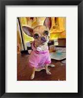 Framed Chihuahua Bella