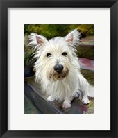 Framed Little Westie