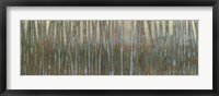 Framed Blue Birch Forest I