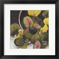 Framed Figs II