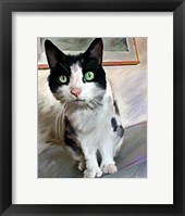 Framed Pretty Girl Cat