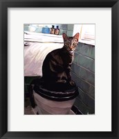 Gray Tiger Cat on the Toilet Framed Print