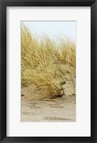 Framed Dunes IV