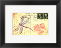 Postcard Dragonfly I Framed Print