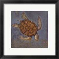 Sea Turtle I Framed Print