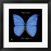 Framed Striking Butterfly I