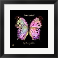 Framed Striking Butterfly III