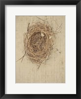 Framed Nesting I