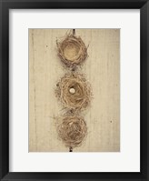 Framed Nesting II