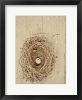 Framed Nesting III