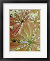 Framed Woodland Plants in Red III