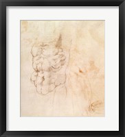 Framed Torso Study