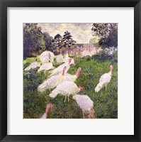 Framed Turkeys at the Chateau de Rottembourg, Montgeron, 1877