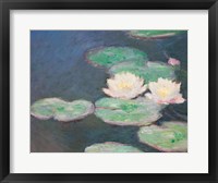 Framed Waterlilies, Evening; detail