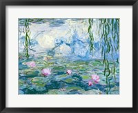 Framed Waterlilies, 1916-19