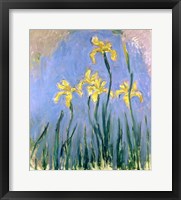 Framed Yellow Irises, c.1918-25