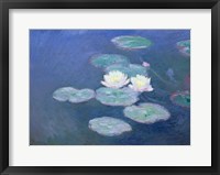 Framed Waterlilies, Evening