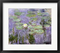 Framed Waterlilies, 1915