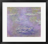 Framed Waterlilies, 1903 (purple)