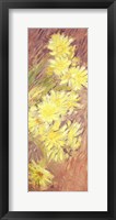 Framed Marguerites Jaunes